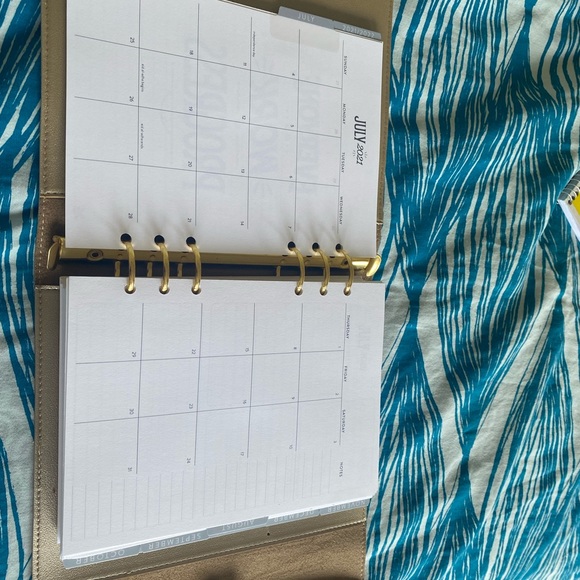 Erin Condren Champgne day planner - Picture 3 of 5